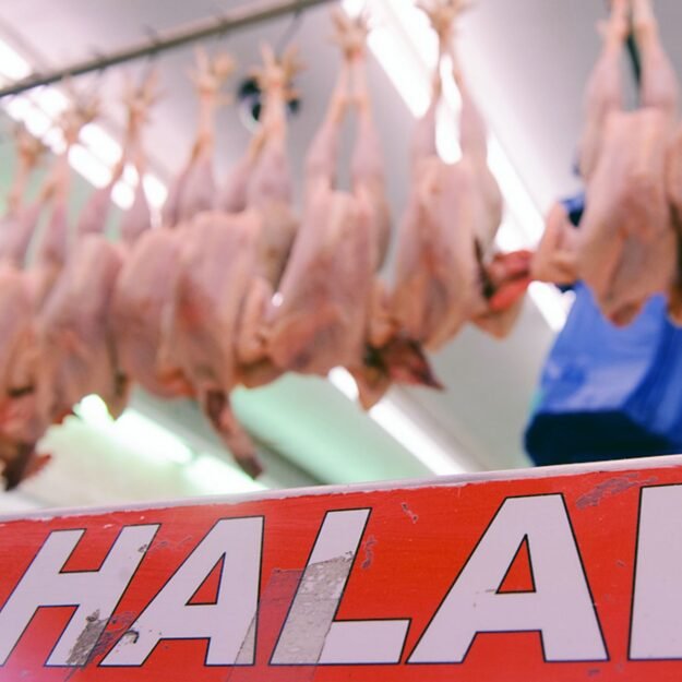 Halal Certified Halal Certified