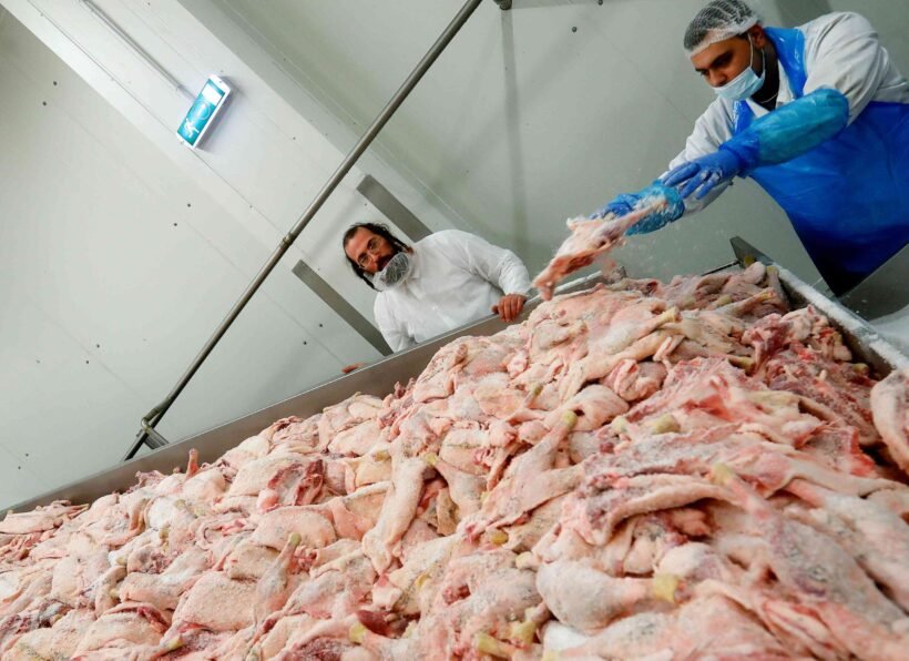 An Orthodox rabbi checks the quality of poultry meat in a Kosher slaughterhouse in Csengele, Hungary on Jan. 15, 2021. The kosher slaughterhouse has increased its exports to Belgium since the European Union’s highest court last month upheld a law that outlawed slaughtering animals without first stunning them into unconsciousness, and Jewish law forbids injuring an animal before it is killed. (AP Photo/Laszlo Balogh)